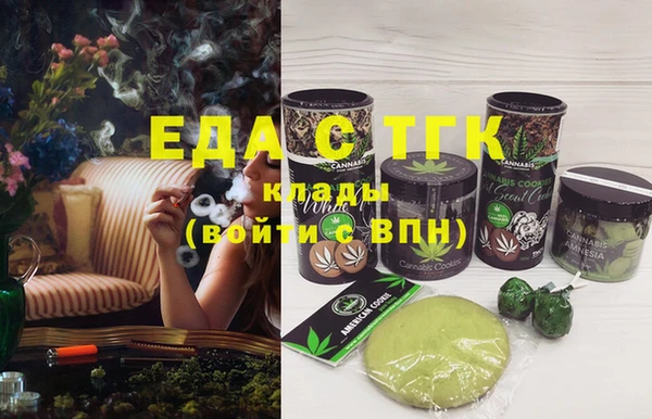 spice Гусев