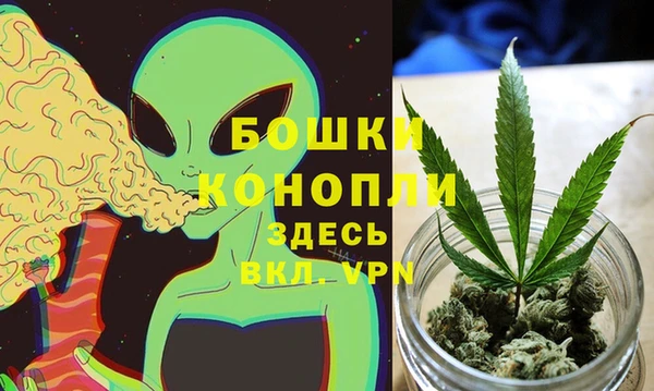spice Гусев