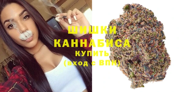 тгк Горно-Алтайск