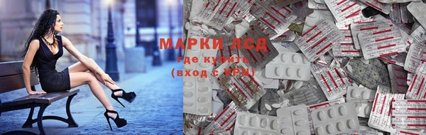 spice Гусев