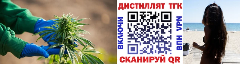 Купить где  Великие Луки  ТГК гашишное масло 