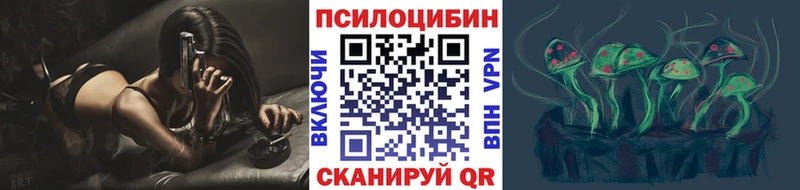 Купить Великие Луки Псилоцибиновые грибы Cubensis